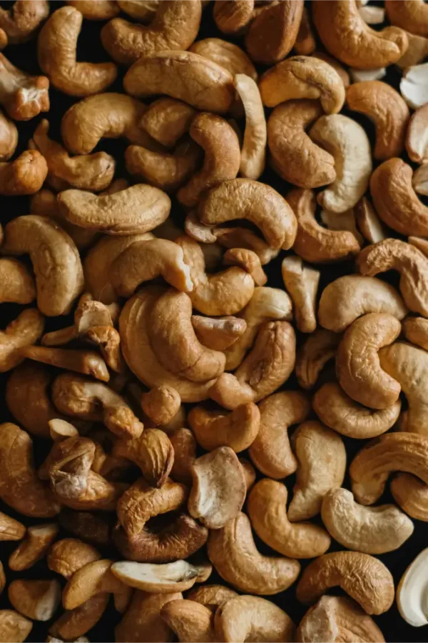 Raw Cashew Nuts in Shell