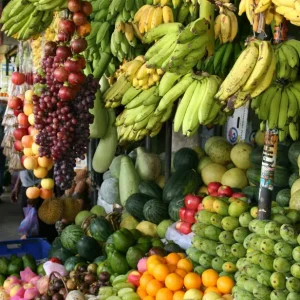 Fruits