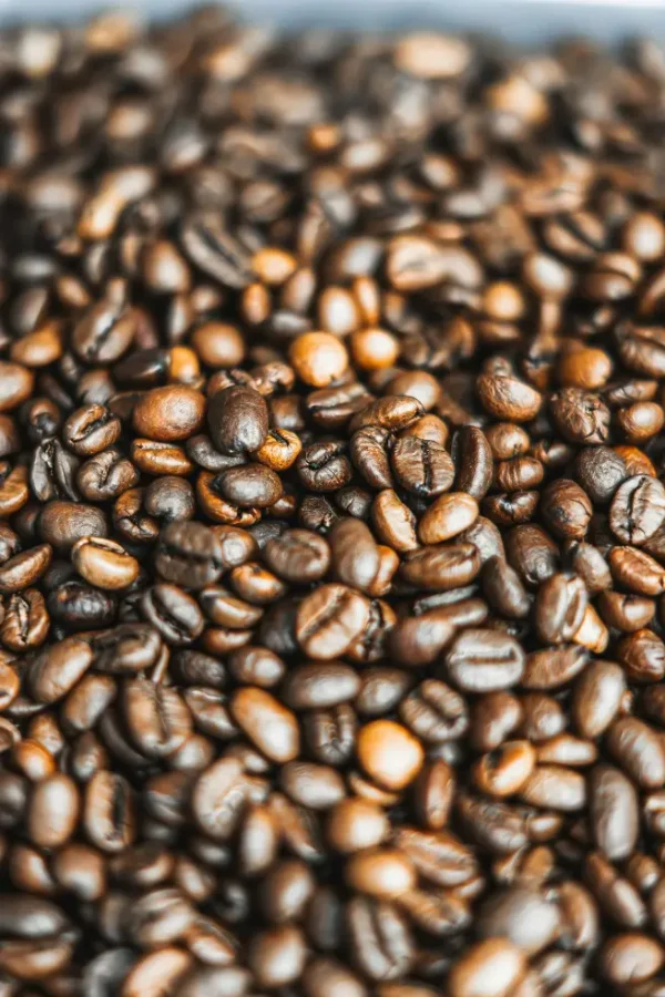 White and Black Kidney Beans