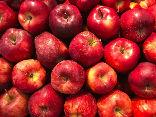 Fresh Apples